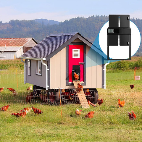 Двері курника з автоматичним відкриванням 26 х 33см PFS-155