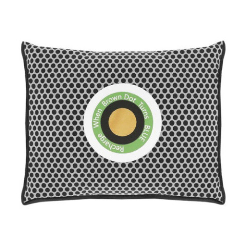 Осушувач - поглинач вологи для автомобіля Xtrobb