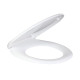 Кришка сидіння для унітазу з доводчиком TOI-SEA2