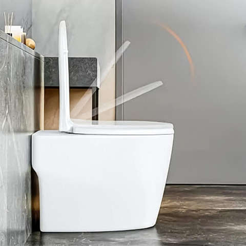 Кришка сидіння для унітазу з доводчиком TOI-SEA4