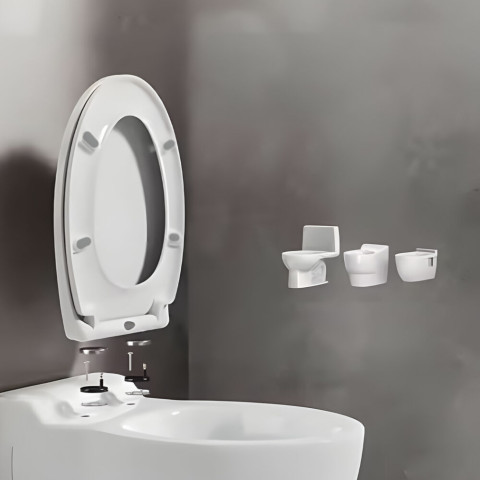 Кришка сидіння для унітазу з доводчиком TOI-SEA5