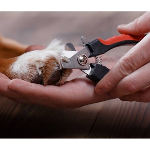 Когтерезы-ножницы для стрижки когтей для собак и кошек