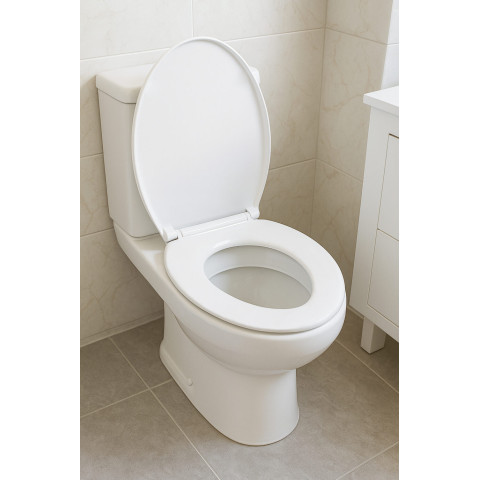 Кришка сидіння для унітазу з доводчиком TOI-SEA3