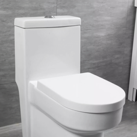 Кришка сидіння для унітазу з доводчиком TOI-SEA7